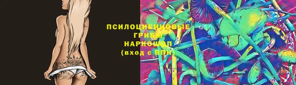дурь Алзамай