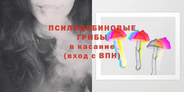 индика Алексеевка