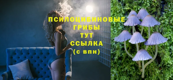 индика Алексеевка