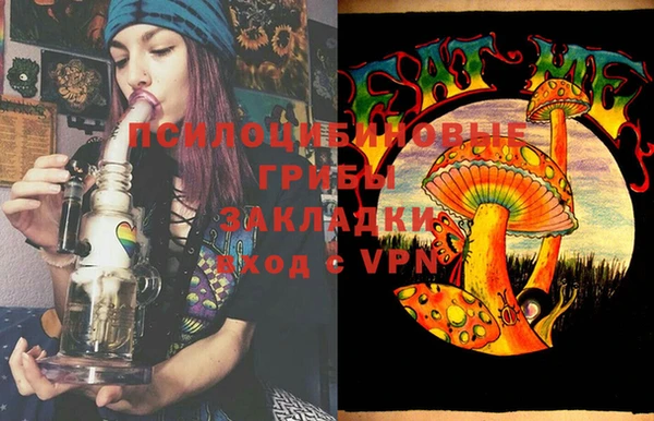 дурь Алзамай