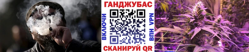 Шишки марихуана Amnesia  Мураши 
